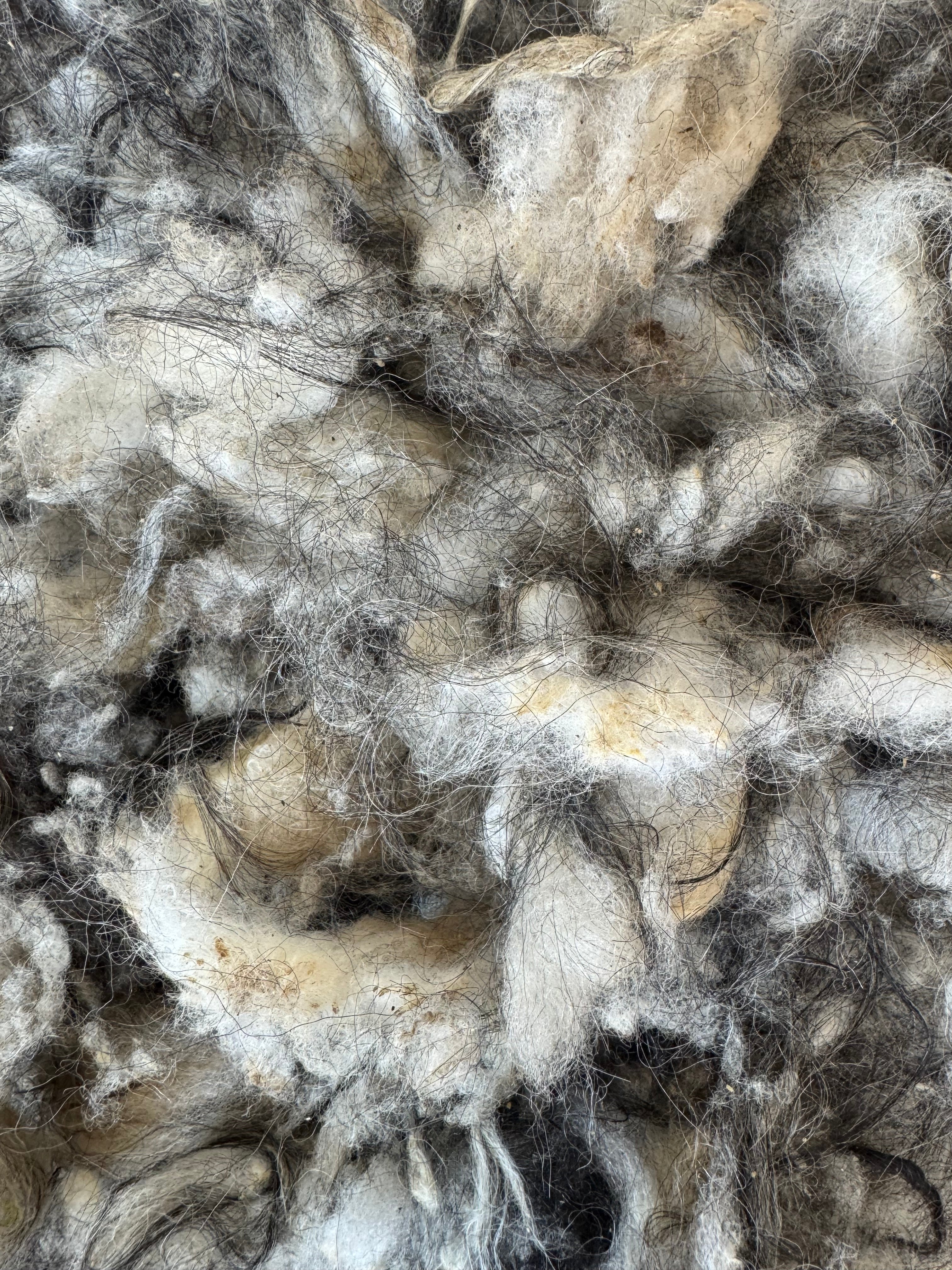 Færøsk garn – et materiale formet af et sted - Samværk