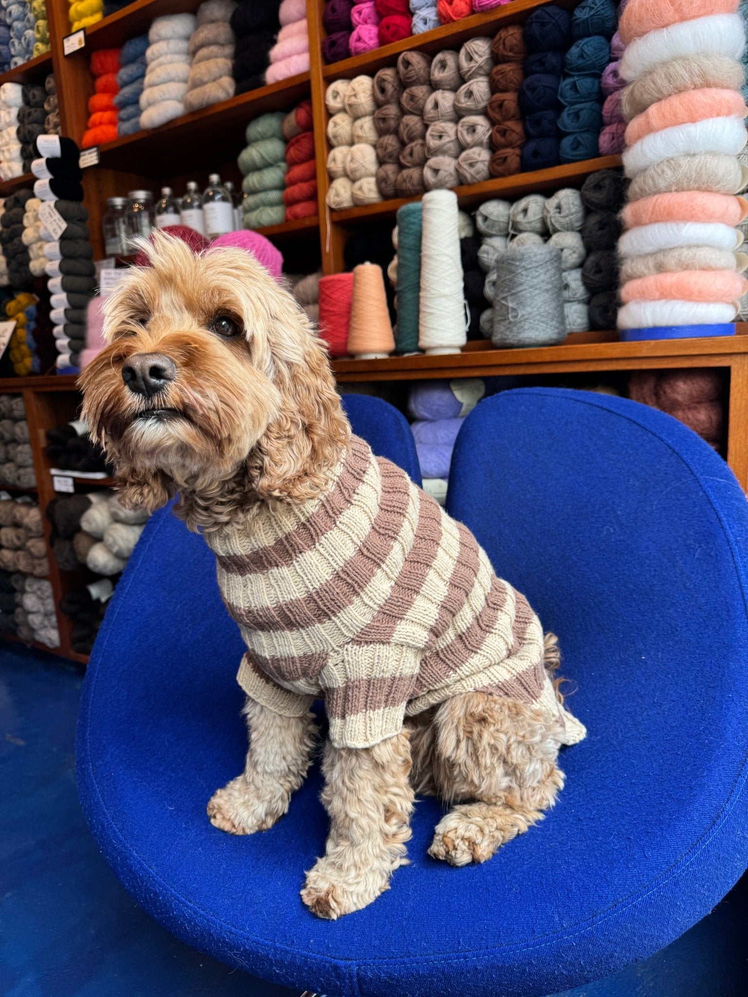 Topper Wear. The Original Dog Sweater – Kit - Samværk