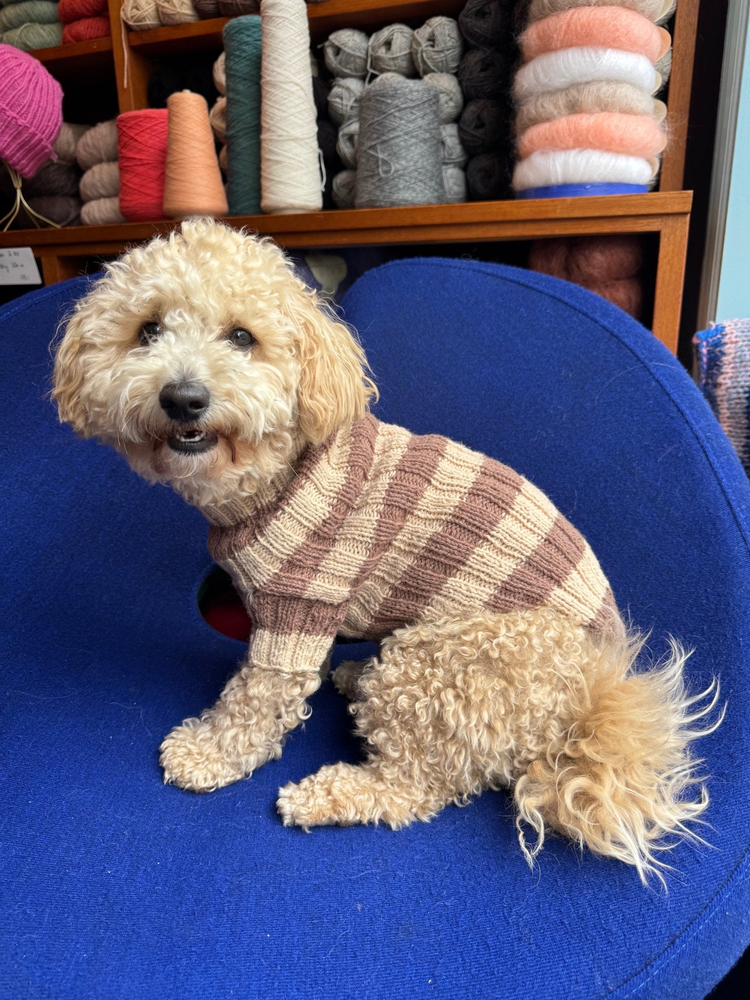 Topper Wear. The Original Dog Sweater – Kit - Samværk