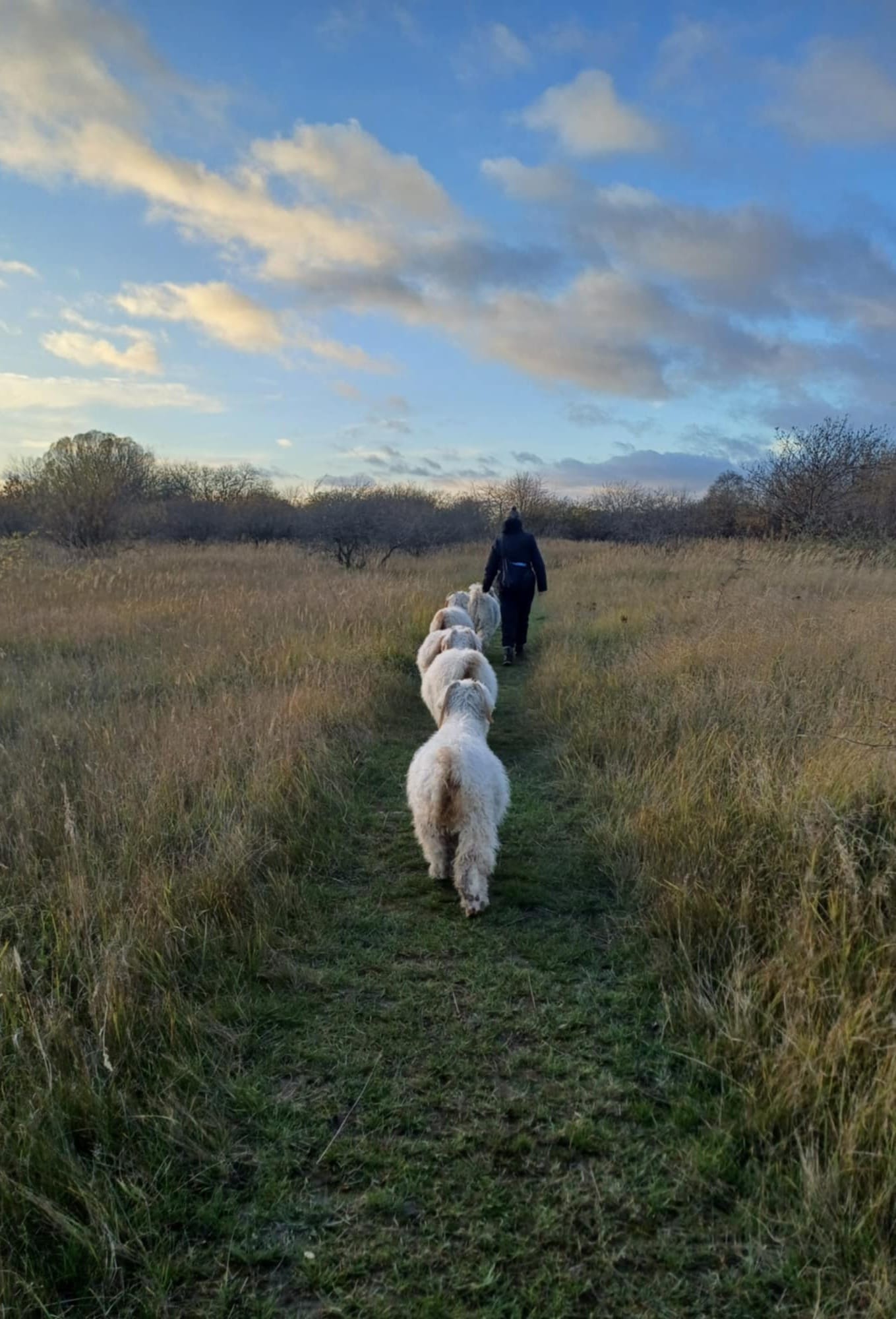 Garn fra Sydhavnstippen