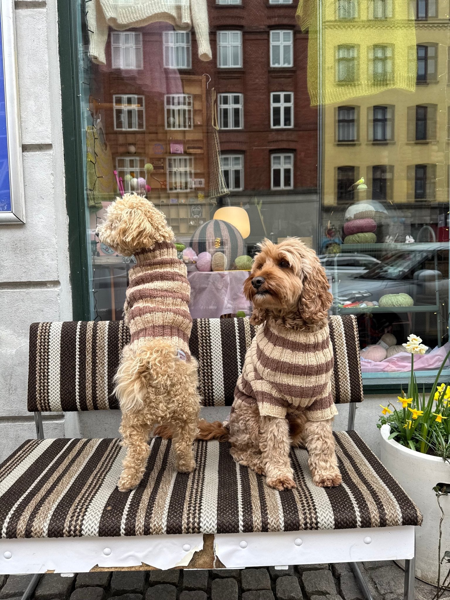 Topper Wear. The Original Dog Sweater – Kit - Samværk