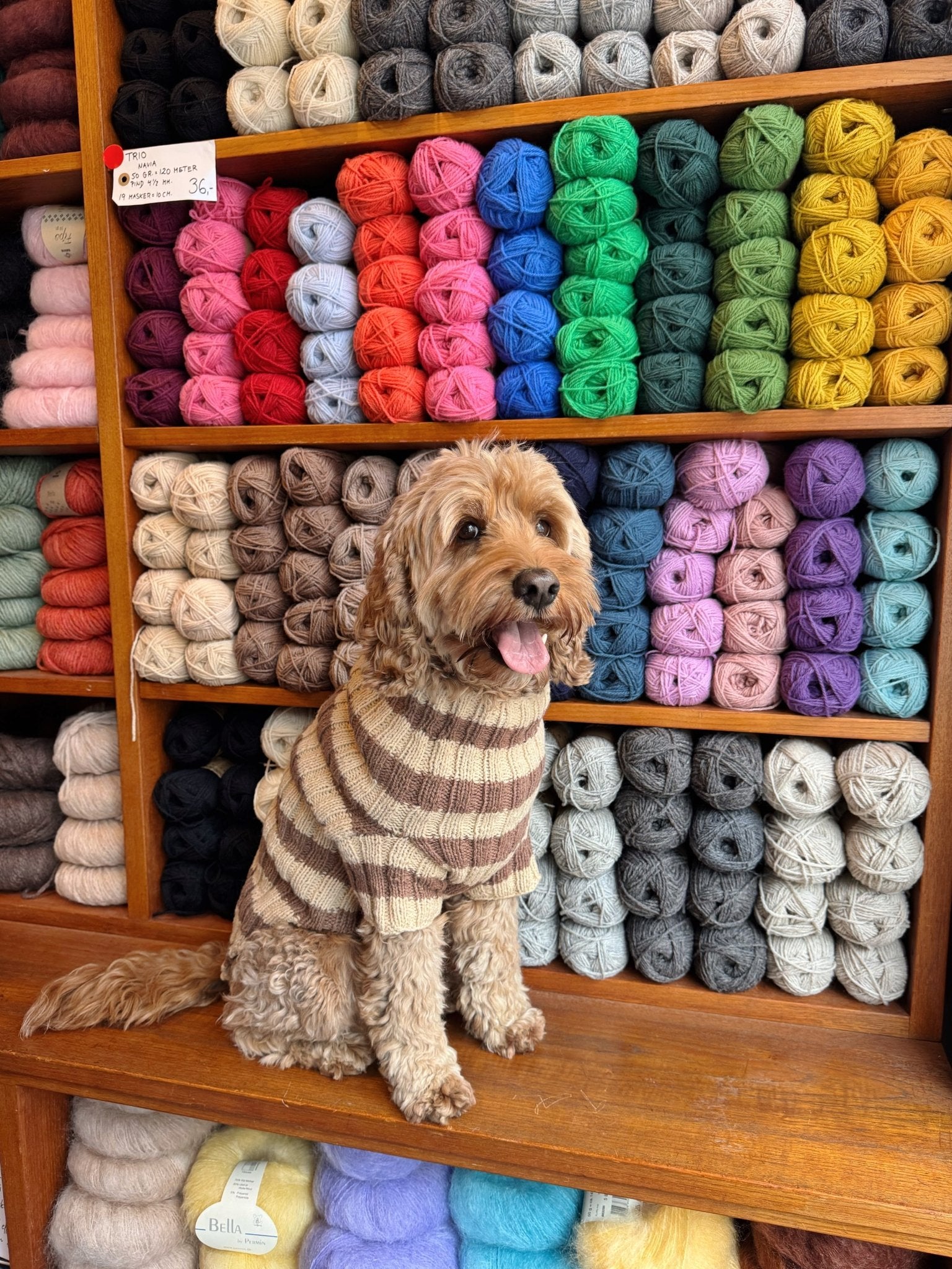 Topper Wear. The Original Dog Sweater – Kit - Samværk