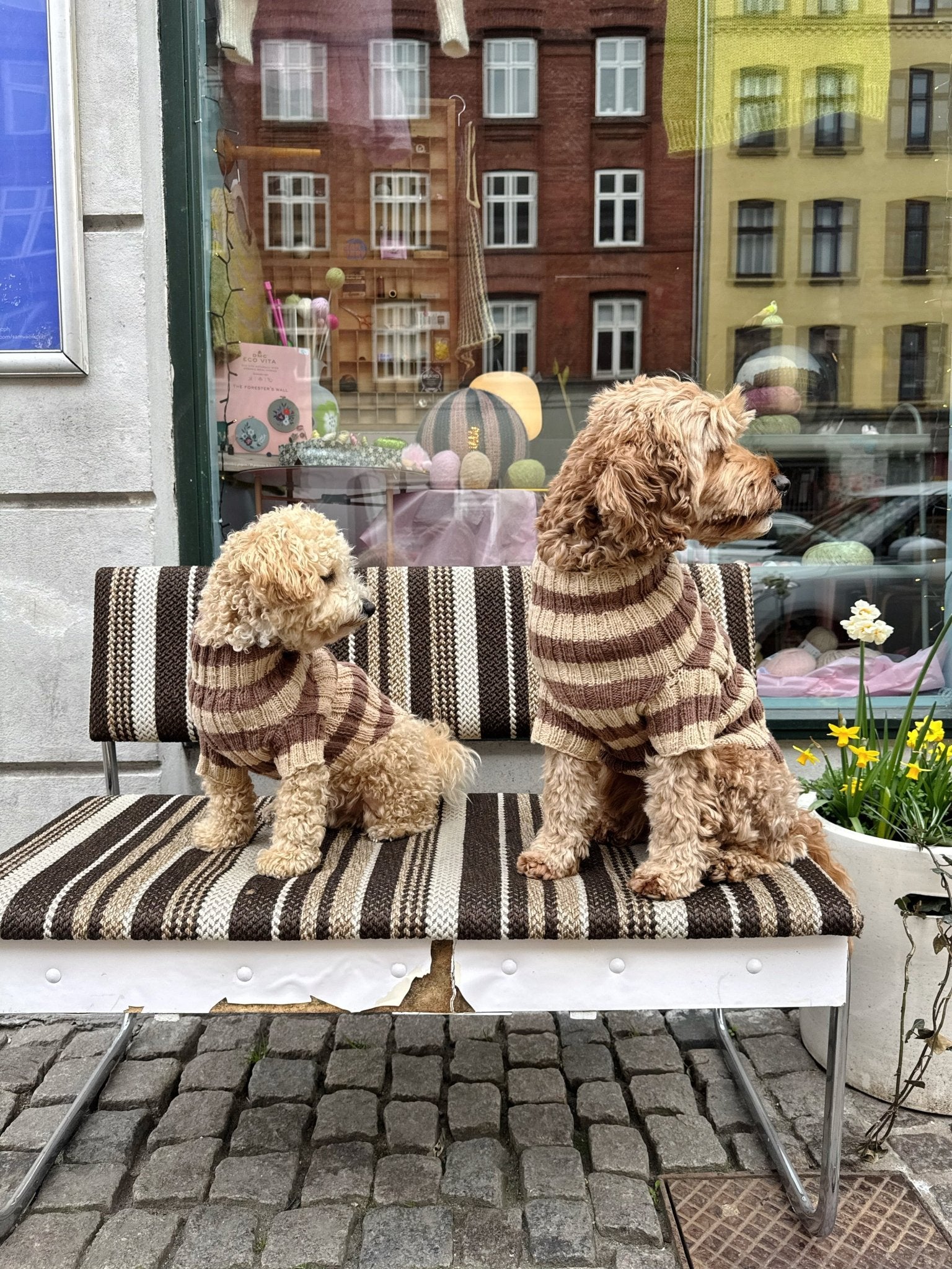 Topper Wear. The Original Dog Sweater – Kit - Samværk