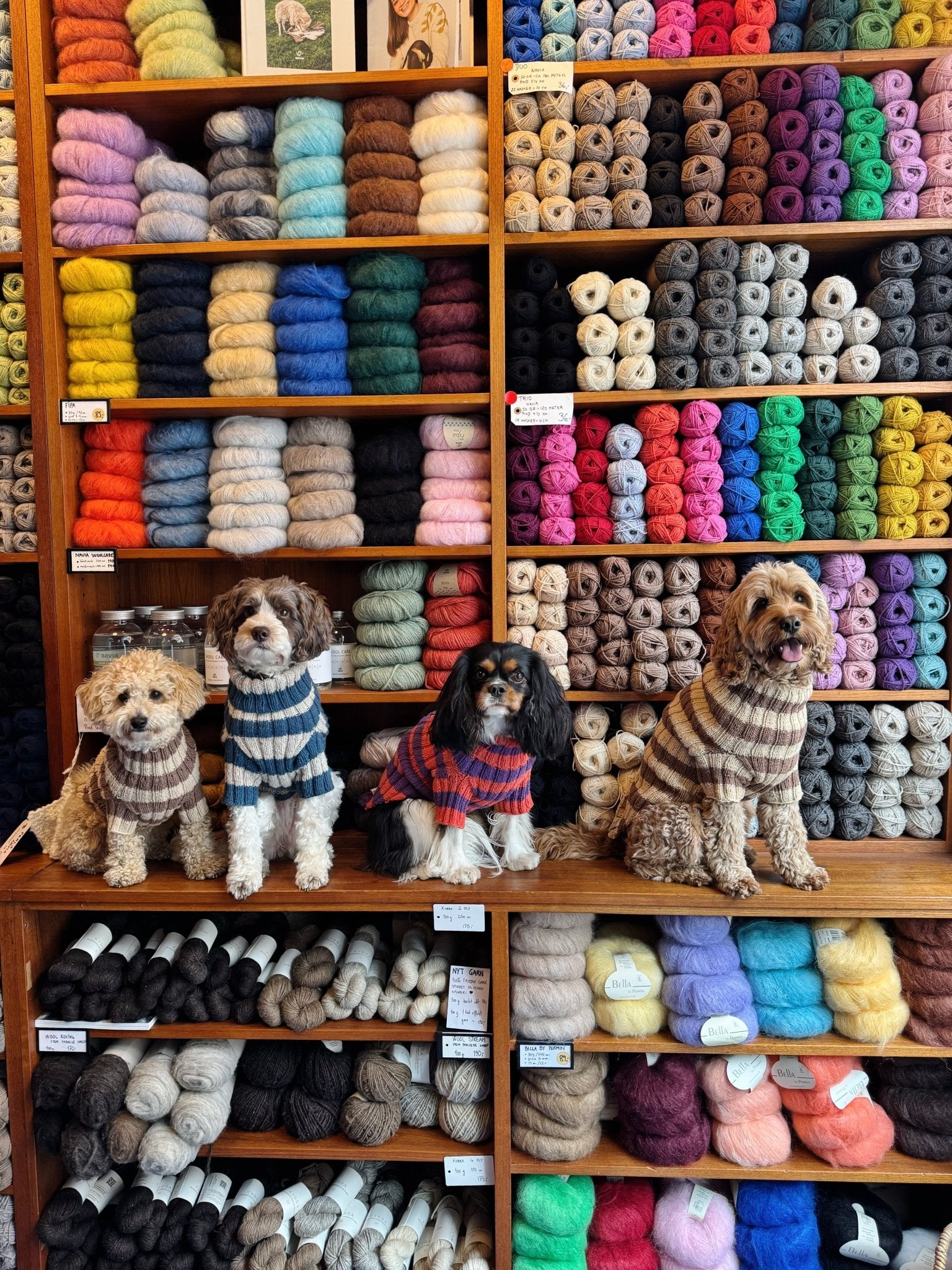Topper Wear. The Original Dog Sweater – Kit - Samværk